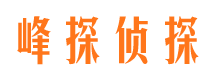 盐湖市婚姻调查